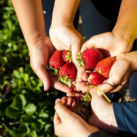 Apartmanhotel Hibiscusuno 3*