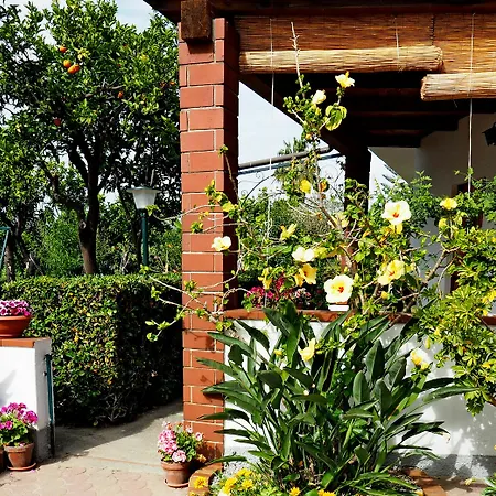 Hibiscusuno Apartmanhotel