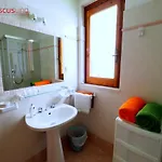 Hibiscusuno Tropea