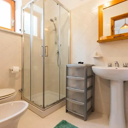 Hibiscusuno 트로페아