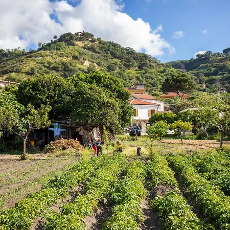 아파트호텔 Hibiscusuno 트로페아