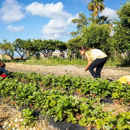 Aparthotel Hibiscusuno