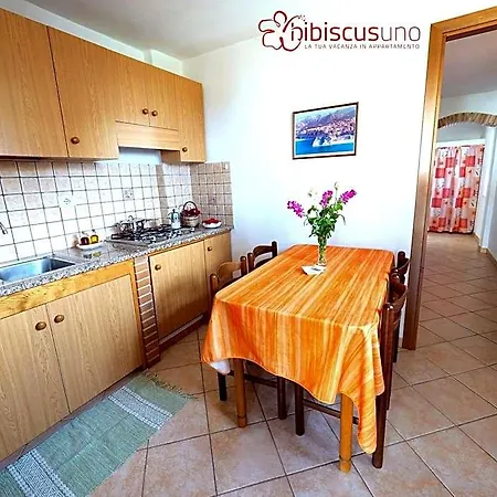 Hibiscusuno 3*