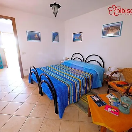 Hibiscusuno 3*