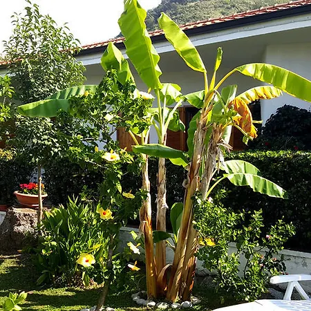 Hibiscusuno 아파트호텔 트로페아