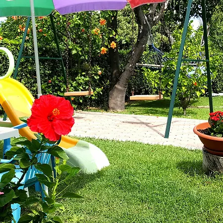 Hibiscusuno 트로페아