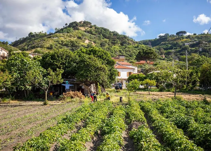 Hotel apartamentowy Hibiscusuno Tropea
