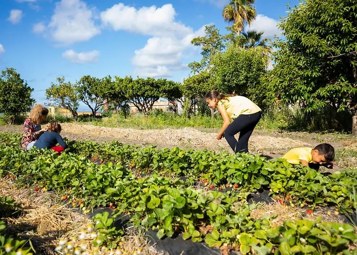 Hotel apartamentowy Hibiscusuno