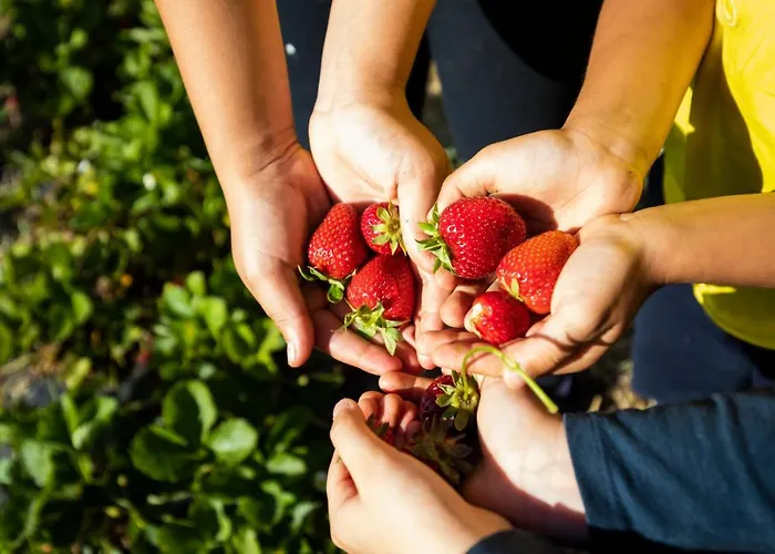 Aparthotel Hibiscusuno 3*